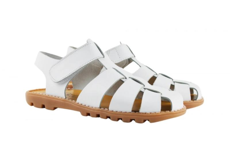 Modelo 559 (25-34) 15,00€